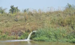 Cezalar çevre sorunlarını çözmeye yetiyor mu?