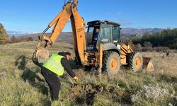 Manisa'da atıl araziler tarıma kazandırılıyor