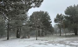 Manisa'nın yüksek kesimlerinde kar etkili oldu