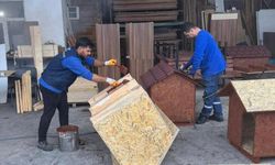 Sarıalan’daki köpekler için Besim Başkan harekete geçti