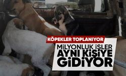 Manisa’da aynı isme milyonluk doğrudan teminler!