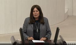 Vestel’deki kriz Meclis gündemine taşındı