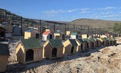 Seren Serengil’den Gülşah Durbay için Sarıalan’a destek