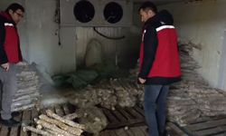 Manisa'da tonlarca bozuk kokoreç ele geçirildi