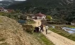 Manisa’da sokak ortasında bir kadın tekme tokat darp edildi!