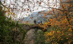 Manisa'daki Çaybaşı Deresi'nde kartpostallık görüntüler