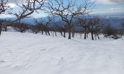 Alaşehirli çocuklar karla buluşacak