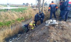 Manisa Şehzadeler'deki dere yatağında erkek cesedi bulundu