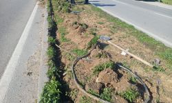 Manisa'da aydınlatma direklerinin kablolarını çalan 2 şüpheli yakalandı