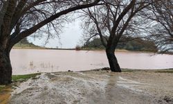 Spil Dağı'ndaki kuruyan Sülüklü Göl yeniden doldu