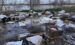 Salihli’de 103 kovan arı sele kapıldı: Binlerce arı telef oldu