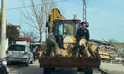 Gediz’in taşkınında 44 kişi ve 127 hayvan tahliye edildi