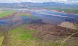 Marmara Gölü'nde umutlandıran görüntü