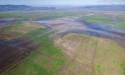 CHP'li Başevirgen Marmara Gölü için iktidara seslendi