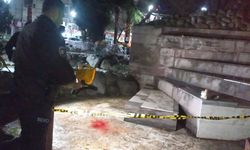 Fatih Parkı'nda kanlar içinde bulundu!