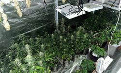 Manisa'da iklimlendirme sistemiyle üretime suçüstü!