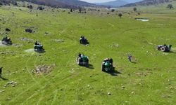 Manisa'daki meralara 8,5 ton gübre atıldı