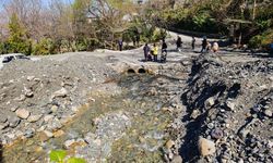 Mesir Tabiat Parkı'nda hafta sonu yoğunluğu