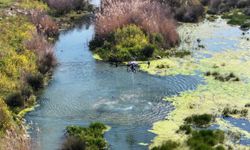 Manisa’da sivrisineklerle mücadele sürüyor