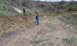 Manisa'da mantarseverler kuzu göbeği avına çıktı