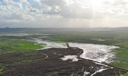 Kuruyan Marmara Gölü’ne Demirköprü’den can suyu