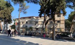 Alaşehir'de 21 kök kenevir ele geçirildi