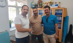 Manisa'da eşek arısı sokan öğretmen ölümden döndü