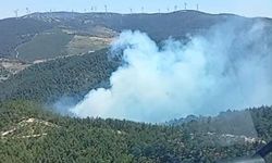 Manisa'da orman yangını: Havadan ve karadan müdahale sürüyor