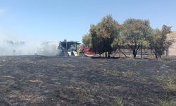 Manisa’da bir günde 50 yangın çıktı