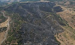 Manisa'daki yanan alanlar böyle görüntülendi