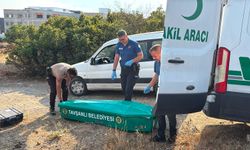 Boş arazide bir kişi ölü bulundu