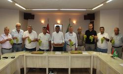 Kuru üzüm üreticisi taban fiyat için TMO'ya seslendi
