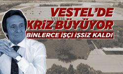 Vestel’in borcu 106 milyar TL’yi aştı: İşçi çıkışları sürüyor