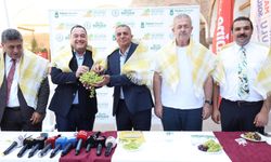 Manisa Bağ Bozumu Şenliği için geri sayım başladı