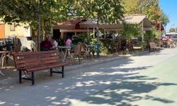 Çay bahçesindeki gizli kamera skandalında işletmeci gözaltına alındı