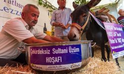 Manisa'da eşek hoşafa direndi, ortaya renkli görüntüler çıktı