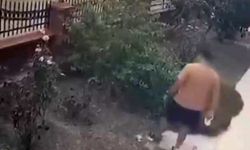 Anne kediye tekme atan şahıs gözaltına alındı