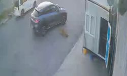 Bile isteye sokak köpeğine çarptı!