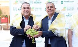 Şehzadeler’de 4 gün sürecek Bağ Bozumu Şenliği başlıyor