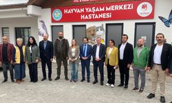 Ferdi Zeyrek Vakfı'ndan barınak için destek çağrısı