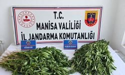Manisa'n 4 ilçesinde uyuşturucu operasyonu