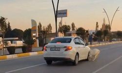 Manisa'da otomobil sürüye çarptı: 3 keçi telef oldu