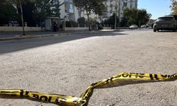 Emekli astsubay kardeşlerin kavgası kanlı bitti