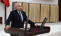 Manisalı zeytincinin çığlığı Meclis kürsüsünde