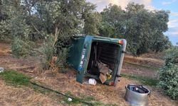 Manisa'da otomobil zeytinliğe uçtu