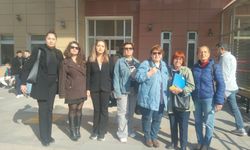 Manisa'daki köpekleri neden Çanakkale İl Özel İdaresi personeli topluyor?