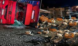 Manisa’da canlı tavuk yüklü kamyon şarampole devrildi