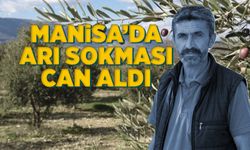 Zeytin hasadında arı sokan şahıs hayatını kaybetti