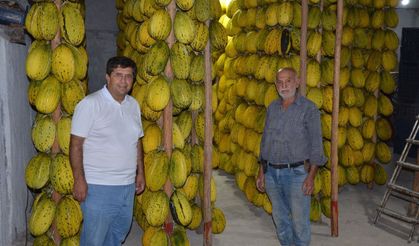 Kırkağaç kavunu kış için askıya alınmaya başladı