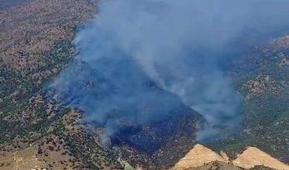 Manisa'daki orman yangını 20 saattir devam ediyor